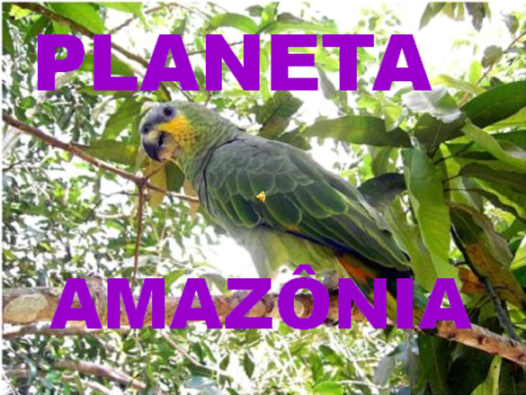 Présentation PPS de l'Amazonie